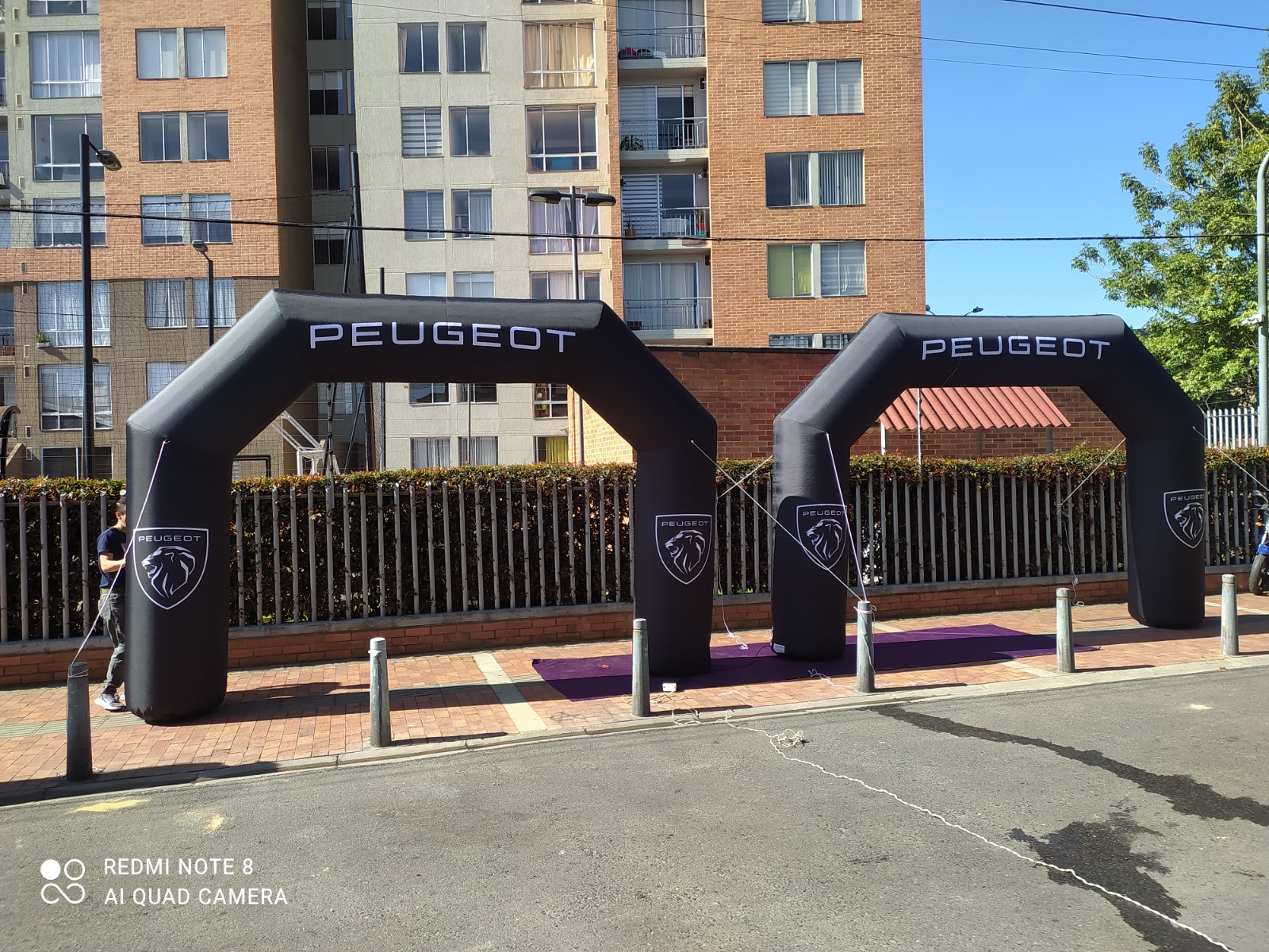 Proyecto 13 de portafolio