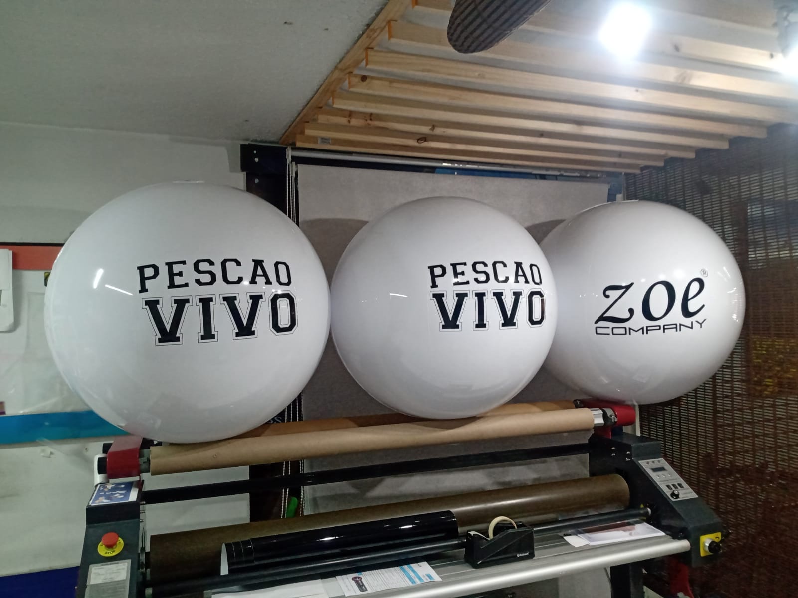 Proyecto 19 de portafolio